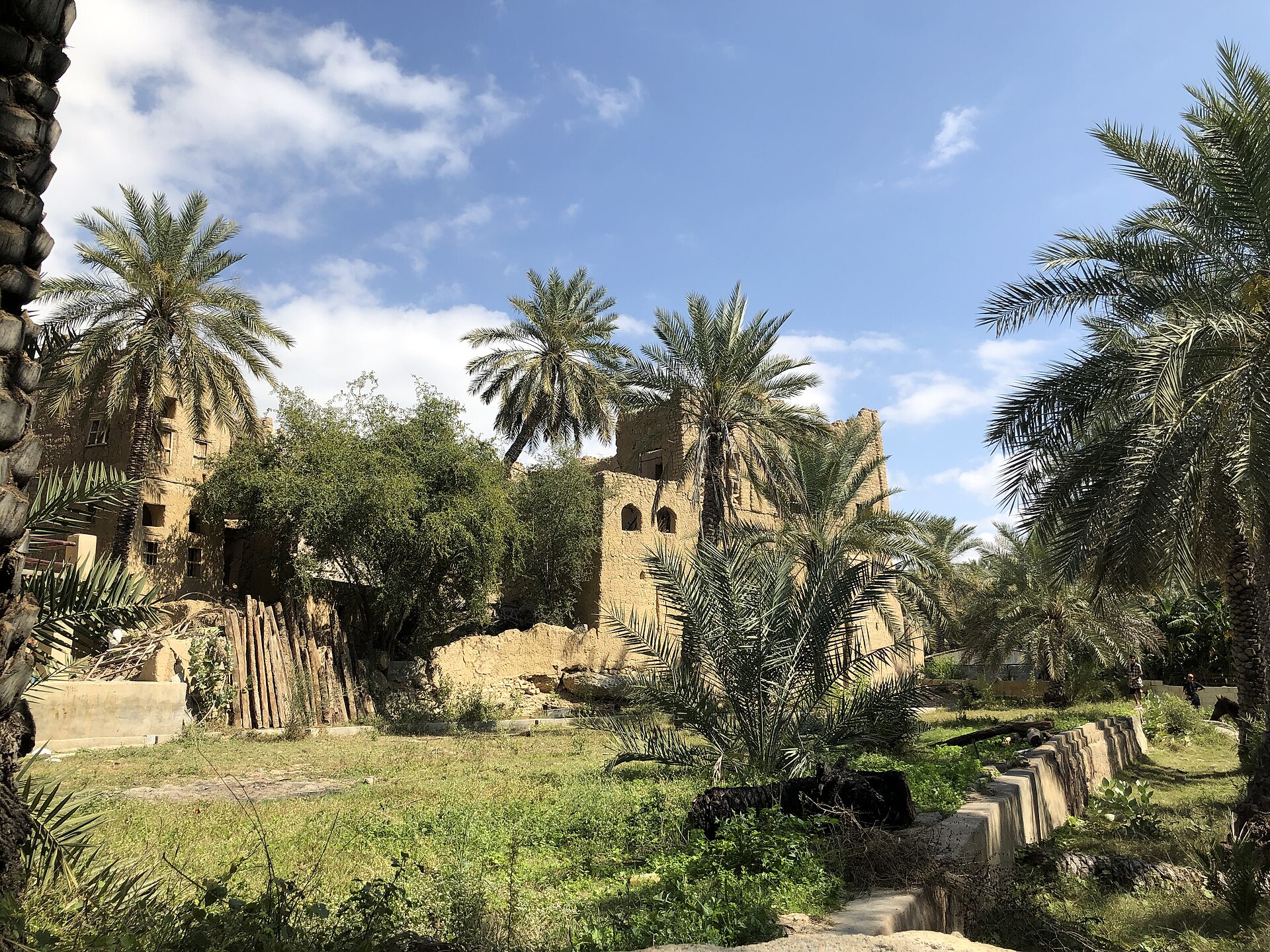 Date palms