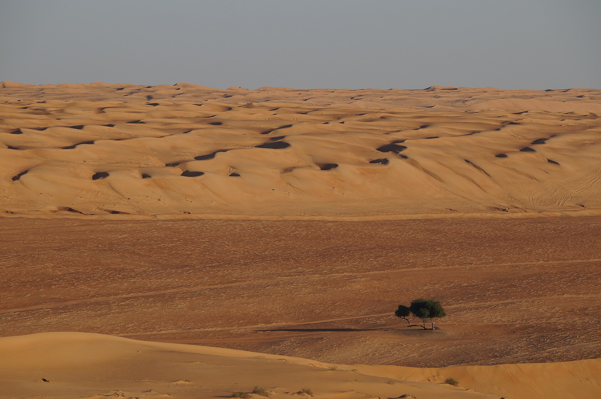 Sand sea